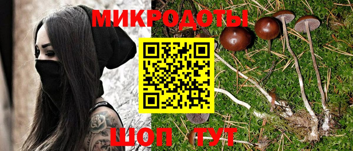 Галлюциногенные грибы Psilocybine cubensis  Вход с VPN  Уварово  купить   Псилоцибиновые грибы мицелий 