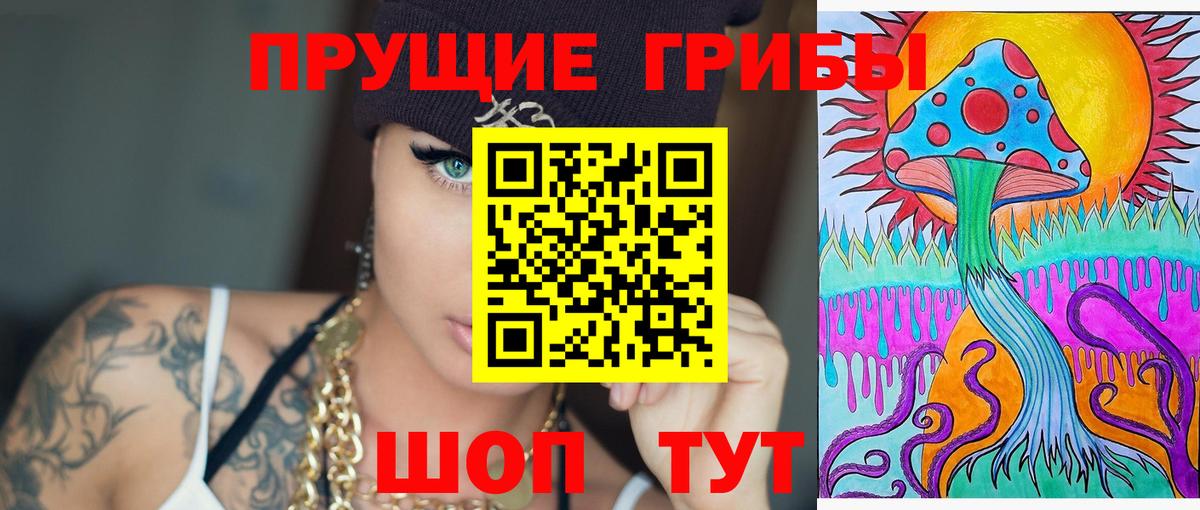 Псилоцибиновые грибы Psilocybine cubensis Уварово